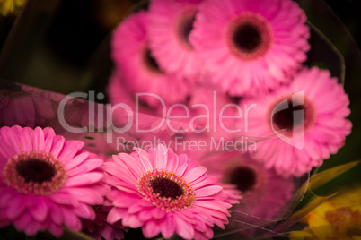 Close-up of bouquet of flowers