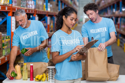 Portrait of volunteers working