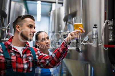 Brewers testing beer