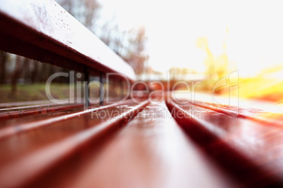 Horizontal bench bokeh with light leak background