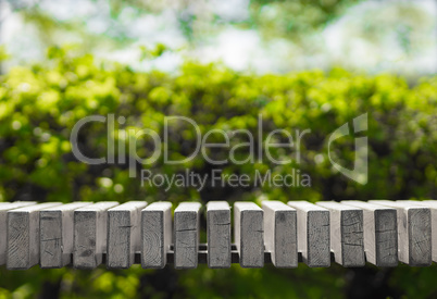 Horizontal black and white park bench bokeh background