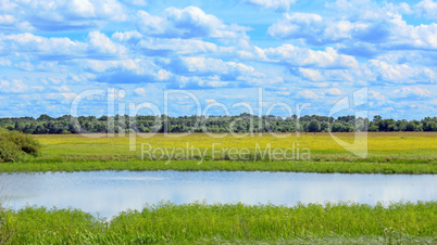 summer landscape with lake field and clouds