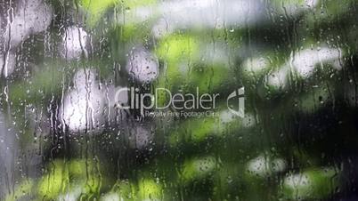 rain on window and garden background