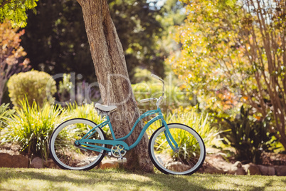 Bicycle parked in a park