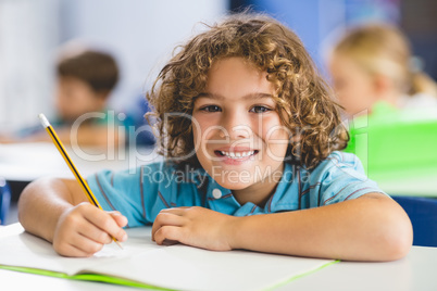 Portrait of schoolboy studying in classroom