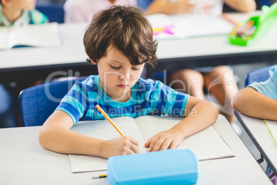 Schoolboy studying in classroom