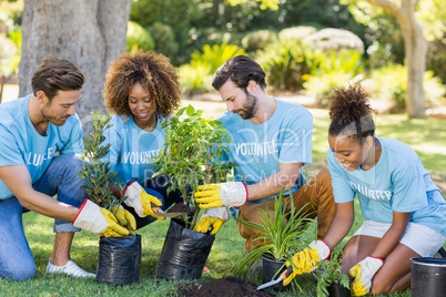 Group of volunteer planting