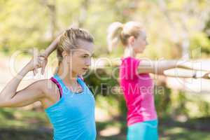 Beautiful young women exercising