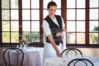 Smiling waitress setting the table