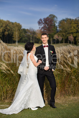 Beautiful bride and groom. Just merried.