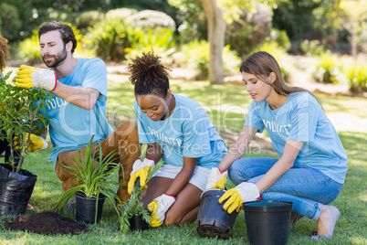 Group of volunteer planting