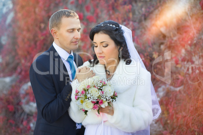 the groom gently embraces and kisses the bride