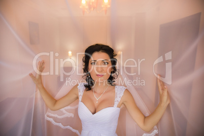 Brunette bride on the wedding day