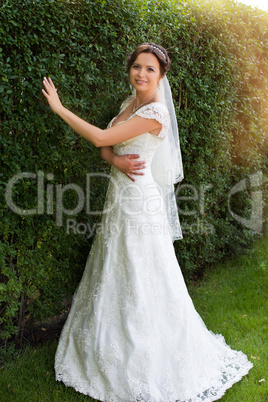 woman in a wedding dress