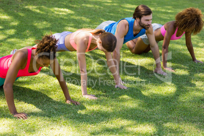 Group of friends doing push ups