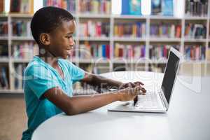 Schoolboy using laptop in library