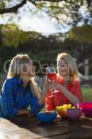 Beautiful women talking while having a glasses of red wine