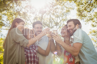 Group of friends toasting a glasses of beer in park