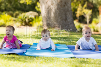 Three babies crawling on exercise-mat