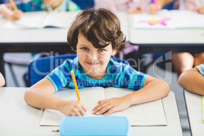 Portrait of schoolboy studying in classroom Portrait of schoolboy studying in classroom