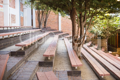 View of empty bench and tree