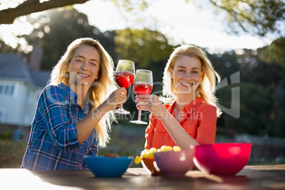 Beautiful women toasting a glasses of red wine