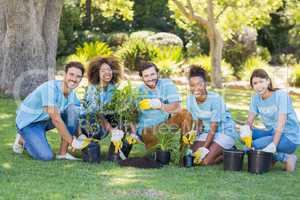 Group of volunteer planting