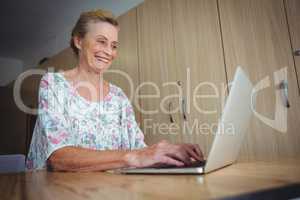 Portrait of smiling senior woman using a laptop