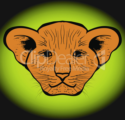 lion cub drawn