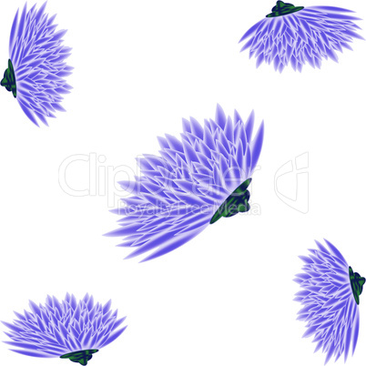 card with asters.