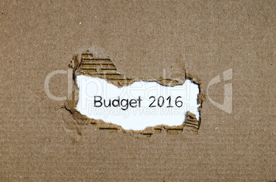 The word budget 2016 appearing behind torn paper