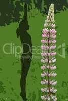 Frau mit Lupine in Yoga Position