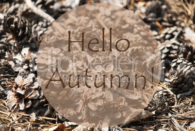 Fall Greeting Card With Text Hello Autumn