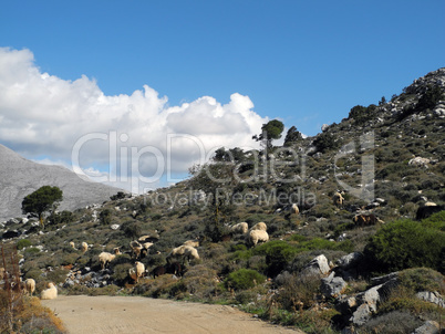 Nissimos-Hochebene, Kreta