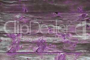 Rustic Wooden Background Or Texture With Purple Color, Copy Space
