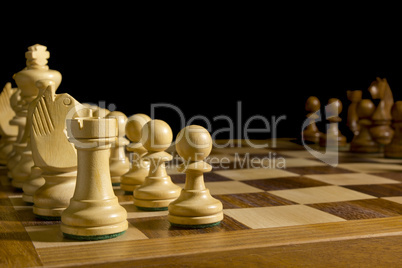 White and black chess pieces