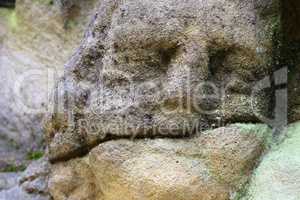 Detail of the stone head