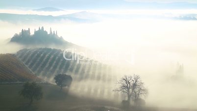Morning Mist over the Fields and Vineyards