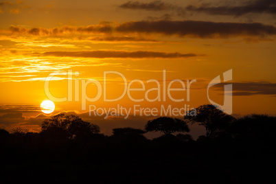 African sunset with trees