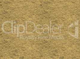 Seamless tileable texture -  grass meadow sepia