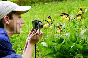 Bub fotografiert Frauenschuhorchideen