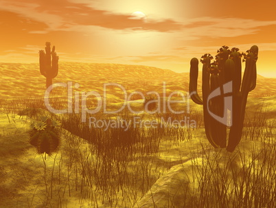 Cactus in the desert - 3D render