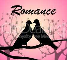 Romance Doves Shows Love Birds And Adoration