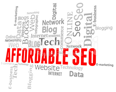 Affordable Seo Shows Cut Price And Budget