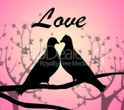 Love Doves Represents Compassionate Tenderness And Heart