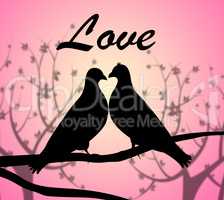 Love Doves Represents Compassionate Tenderness And Heart