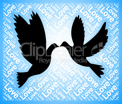Love Doves Means Tenderness Loving And Affection