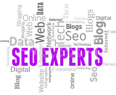 Seo Experts Means Search Engine And Ability