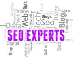 Seo Experts Means Search Engine And Ability