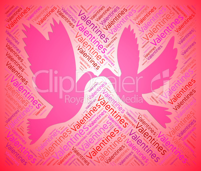 Valentines Doves Indicates Love Lover And Day